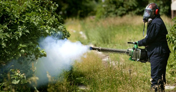 Εικόνα άρθρου