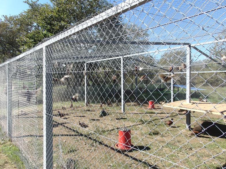 Εικόνα άρθρου