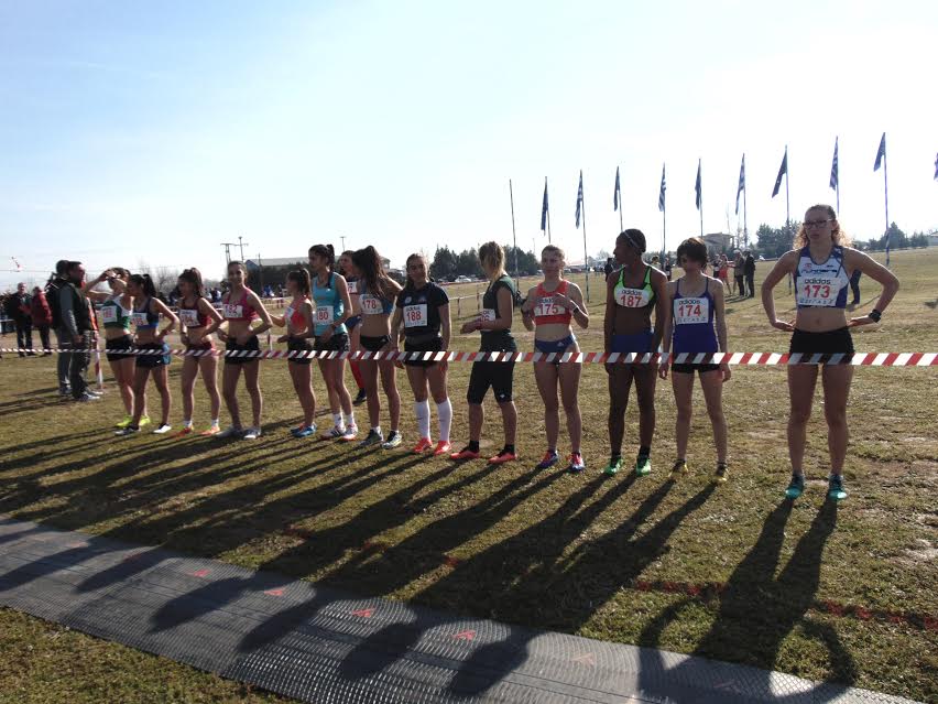 Εικόνα άρθρου