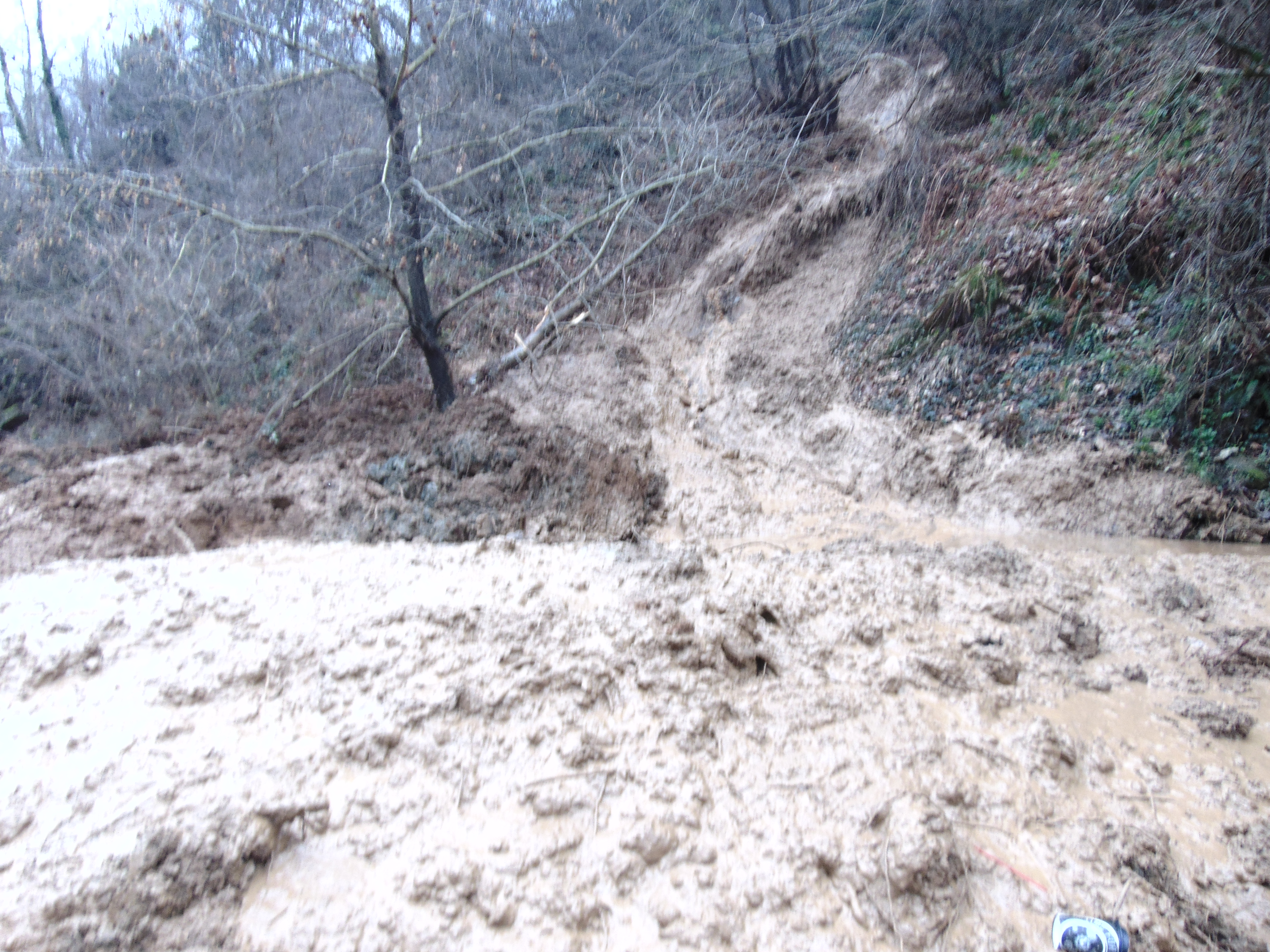 Εικόνα άρθρου