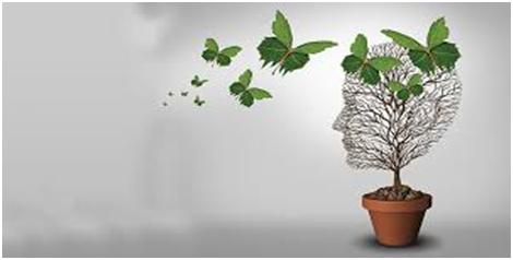 Εικόνα άρθρου