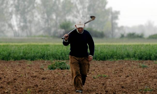 Εικόνα άρθρου