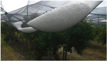 Εικόνα άρθρου