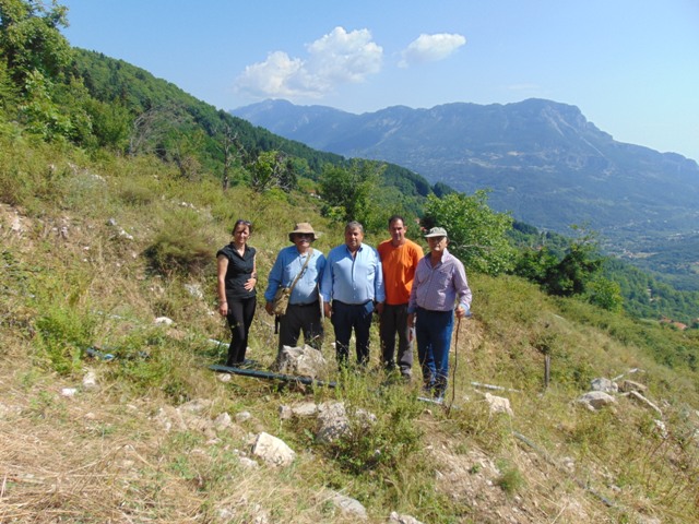 Εικόνα άρθρου