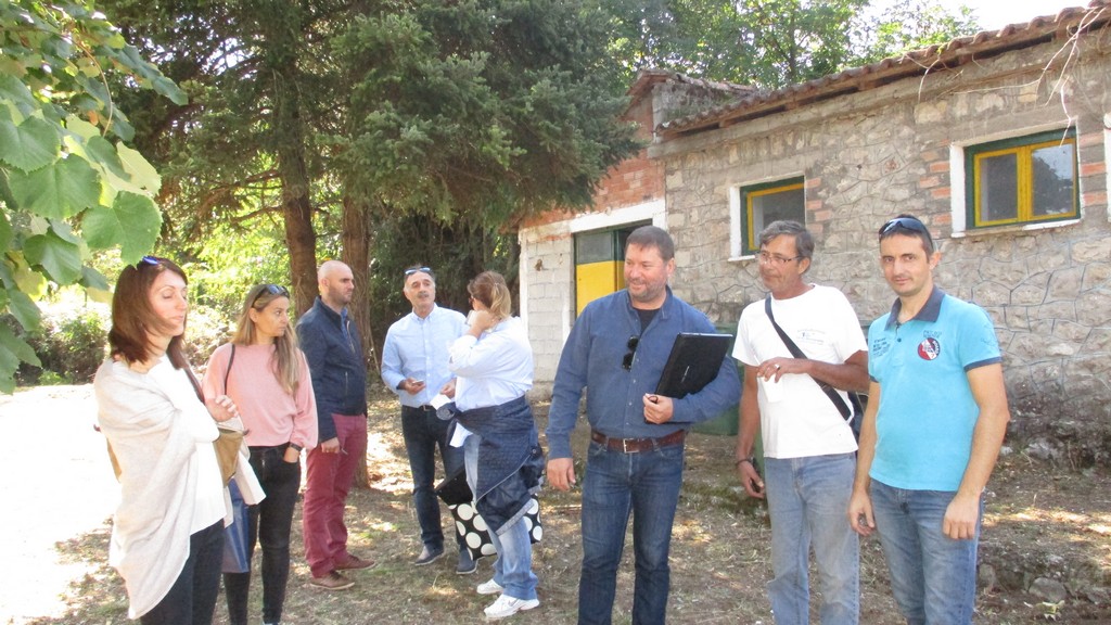 Εικόνα άρθρου