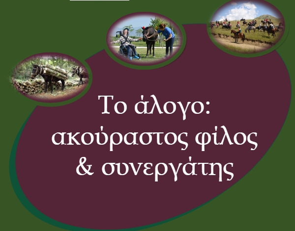 Εικόνα άρθρου