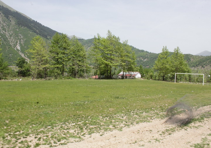 Εικόνα άρθρου