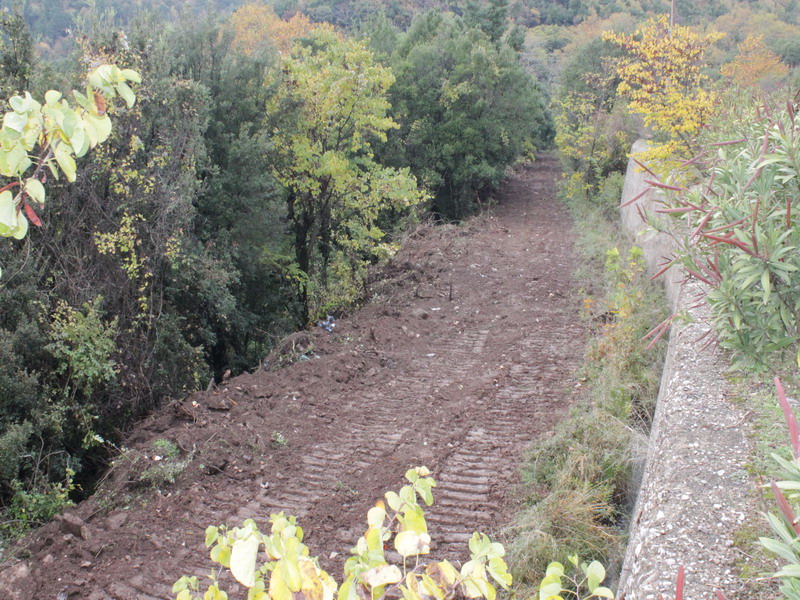 Εικόνα άρθρου