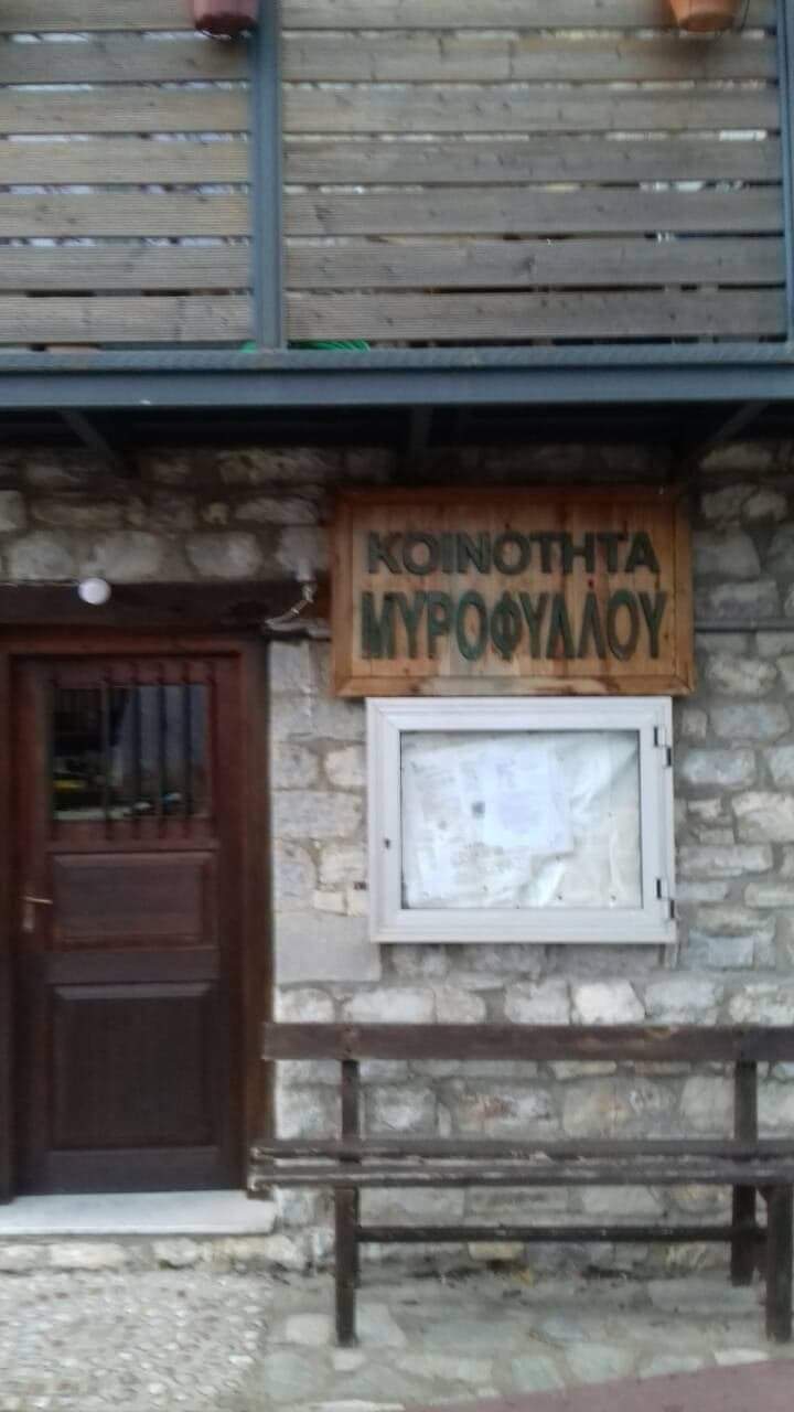 Εικόνα άρθρου