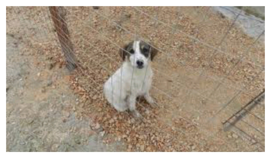 Εικόνα άρθρου