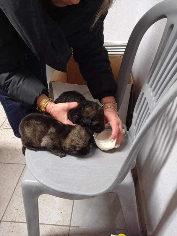 Εικόνα άρθρου