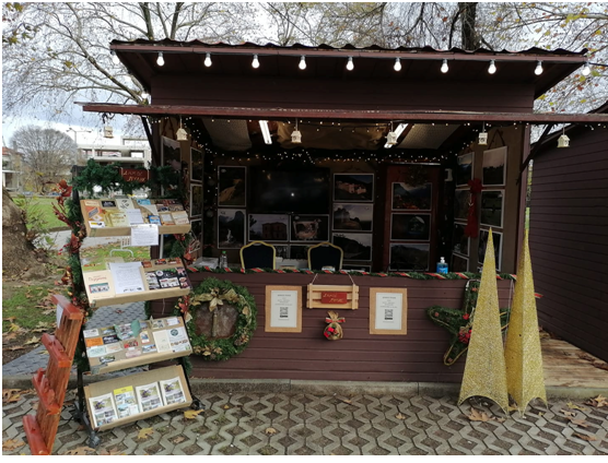 Εικόνα άρθρου