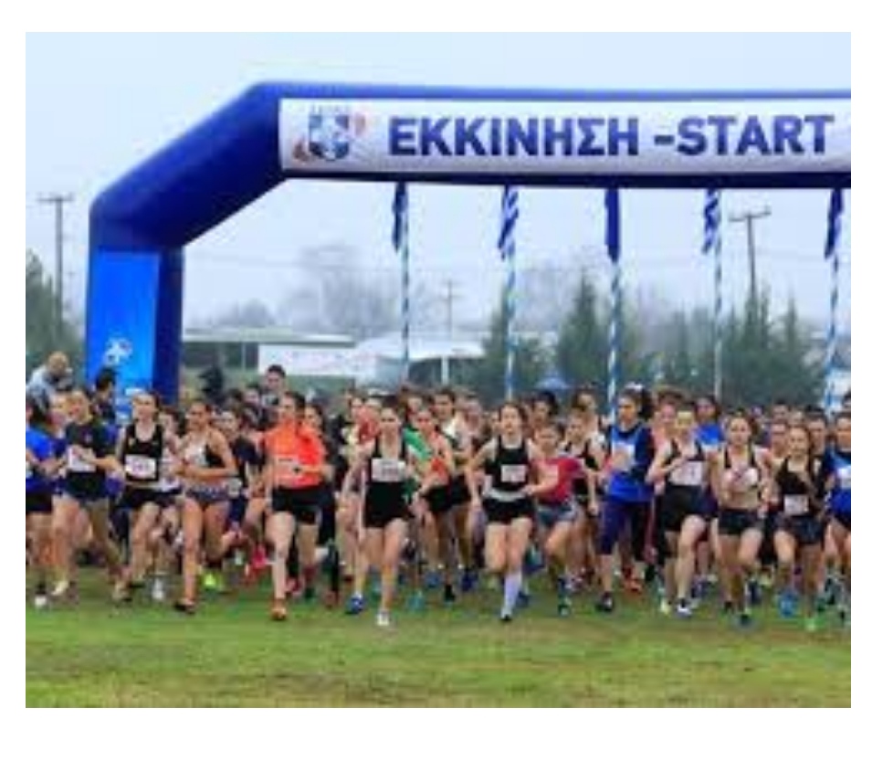 Εικόνα άρθρου