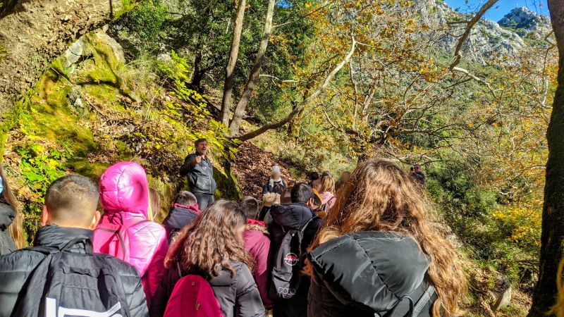 Εικόνα άρθρου
