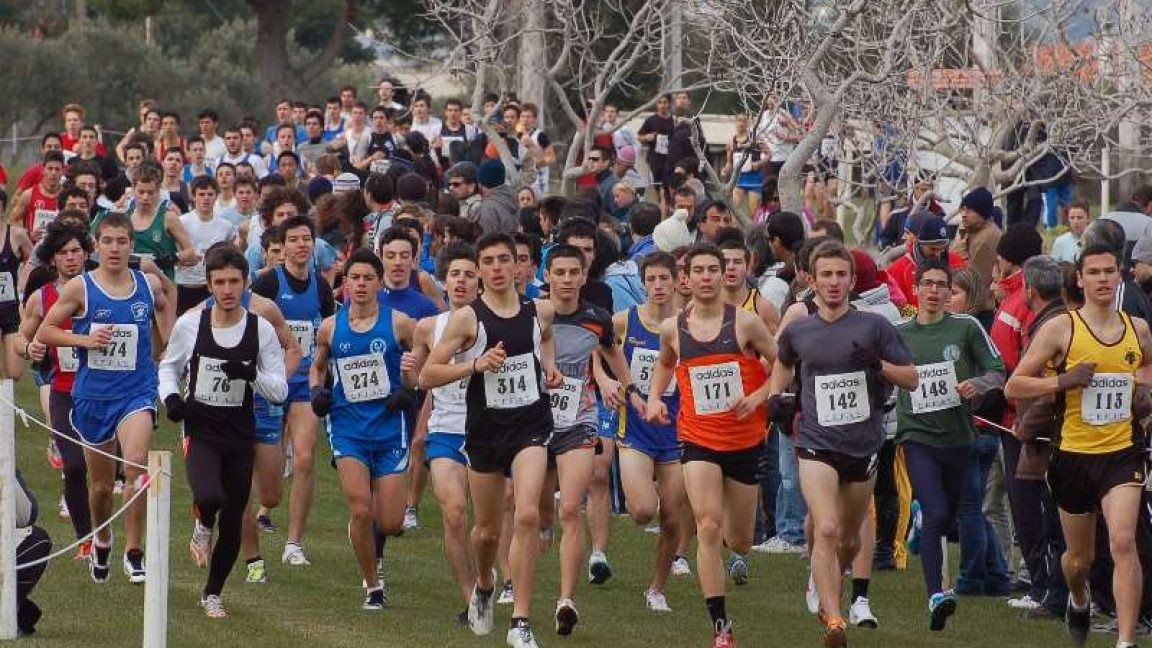 Εικόνα άρθρου