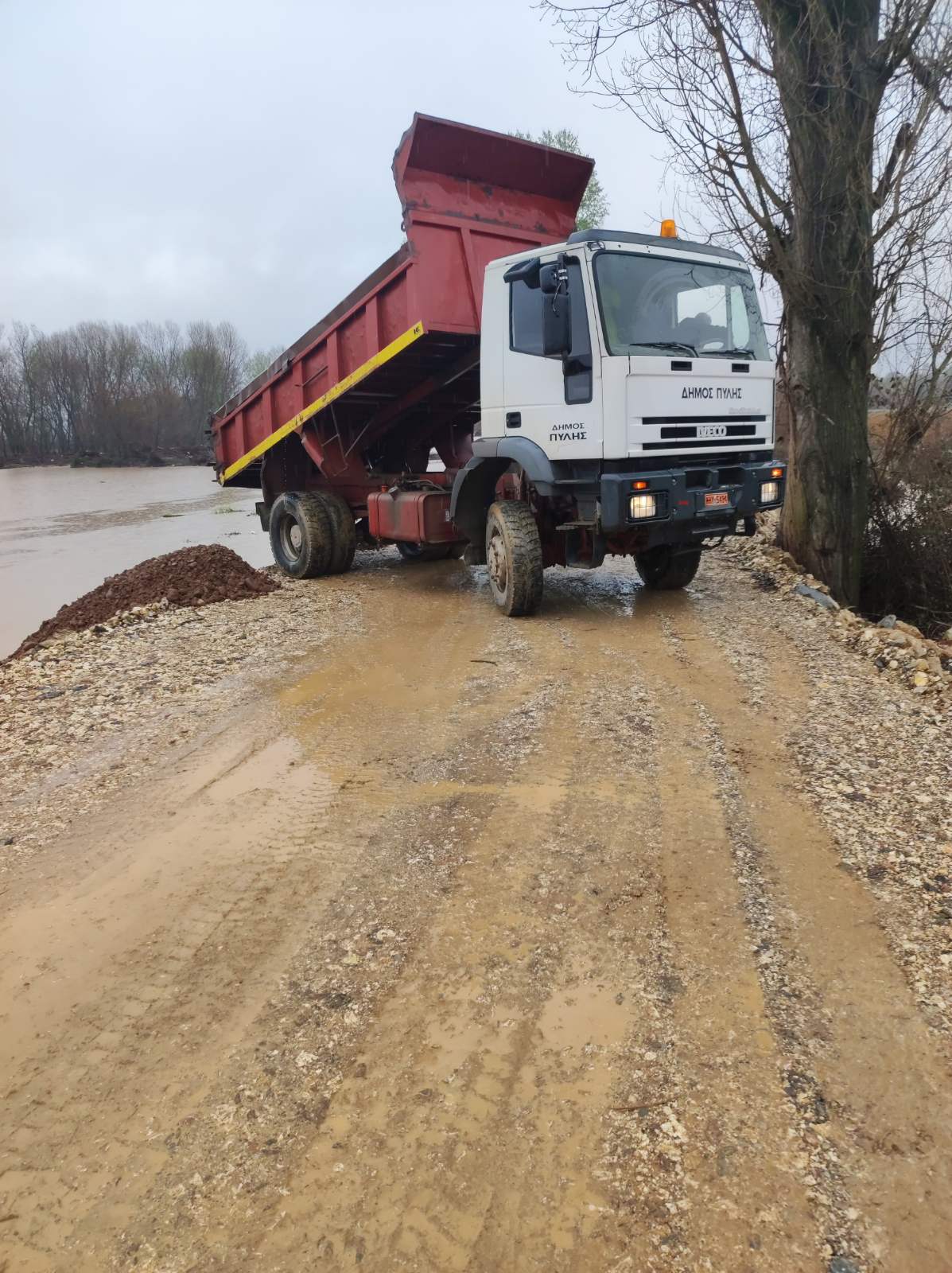 Εικόνα άρθρου