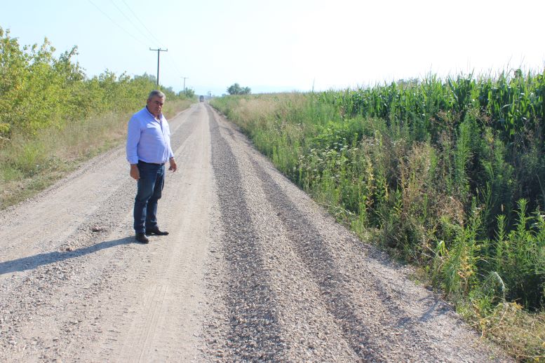 Εικόνα άρθρου