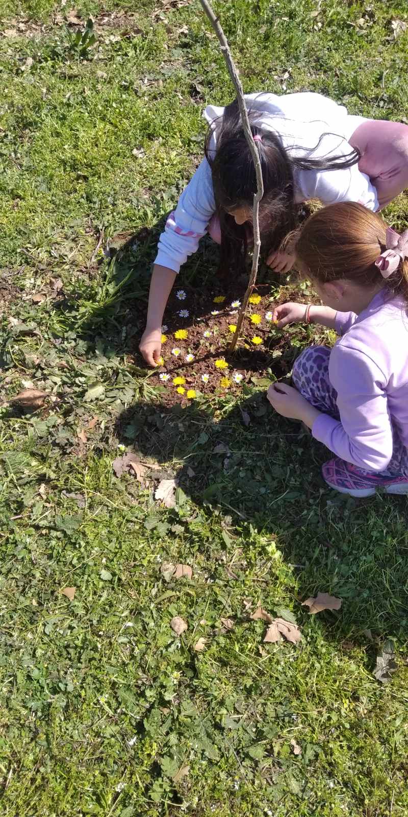 Εικόνα άρθρου