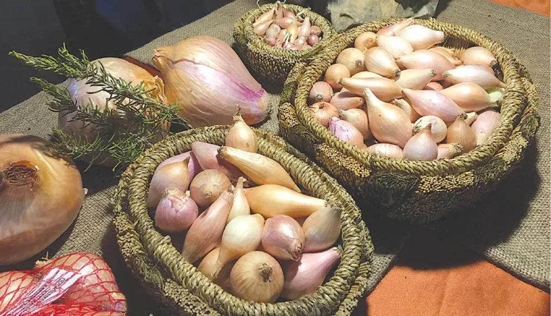 Εικόνα άρθρου