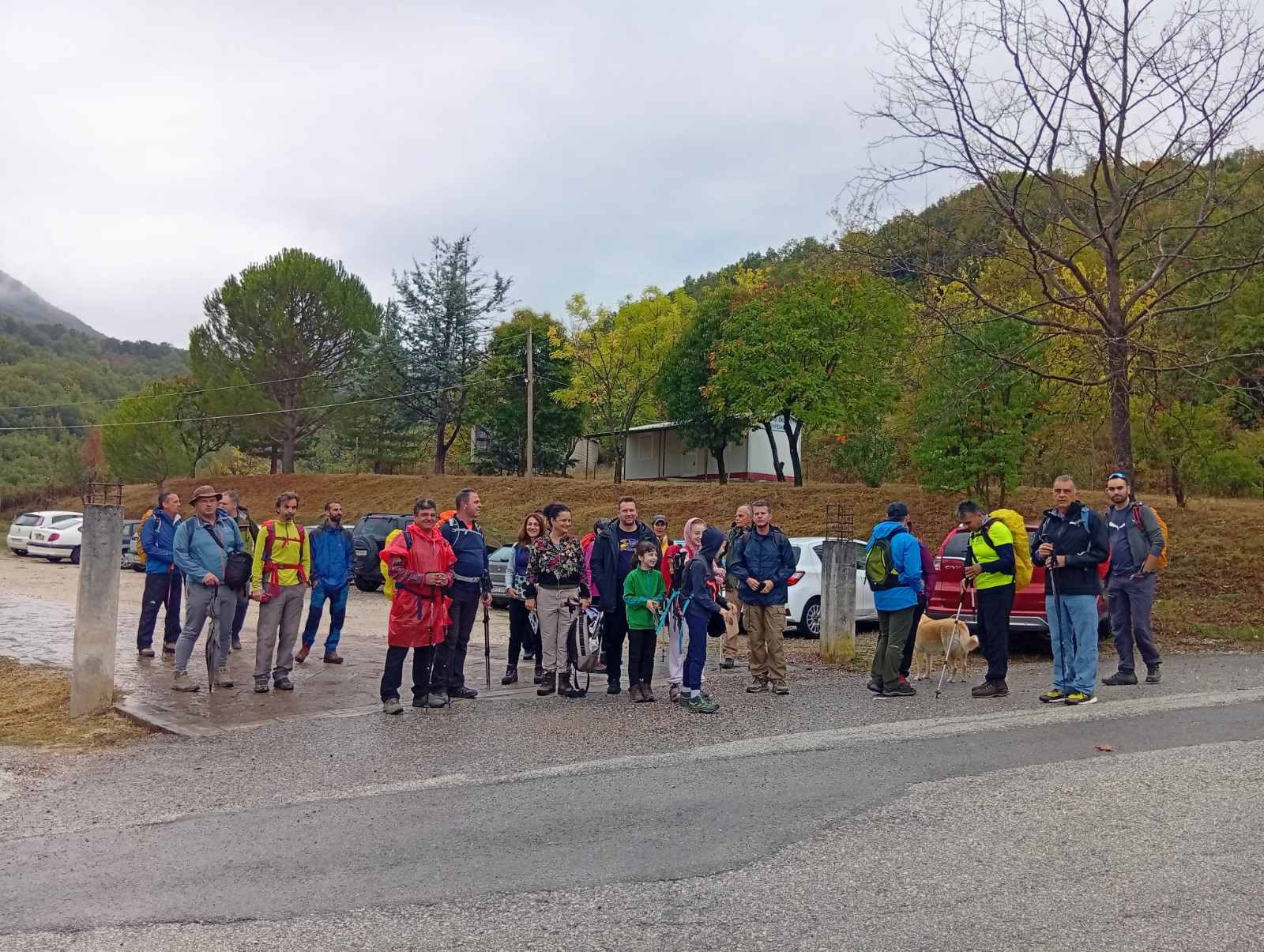 Εικόνα άρθρου