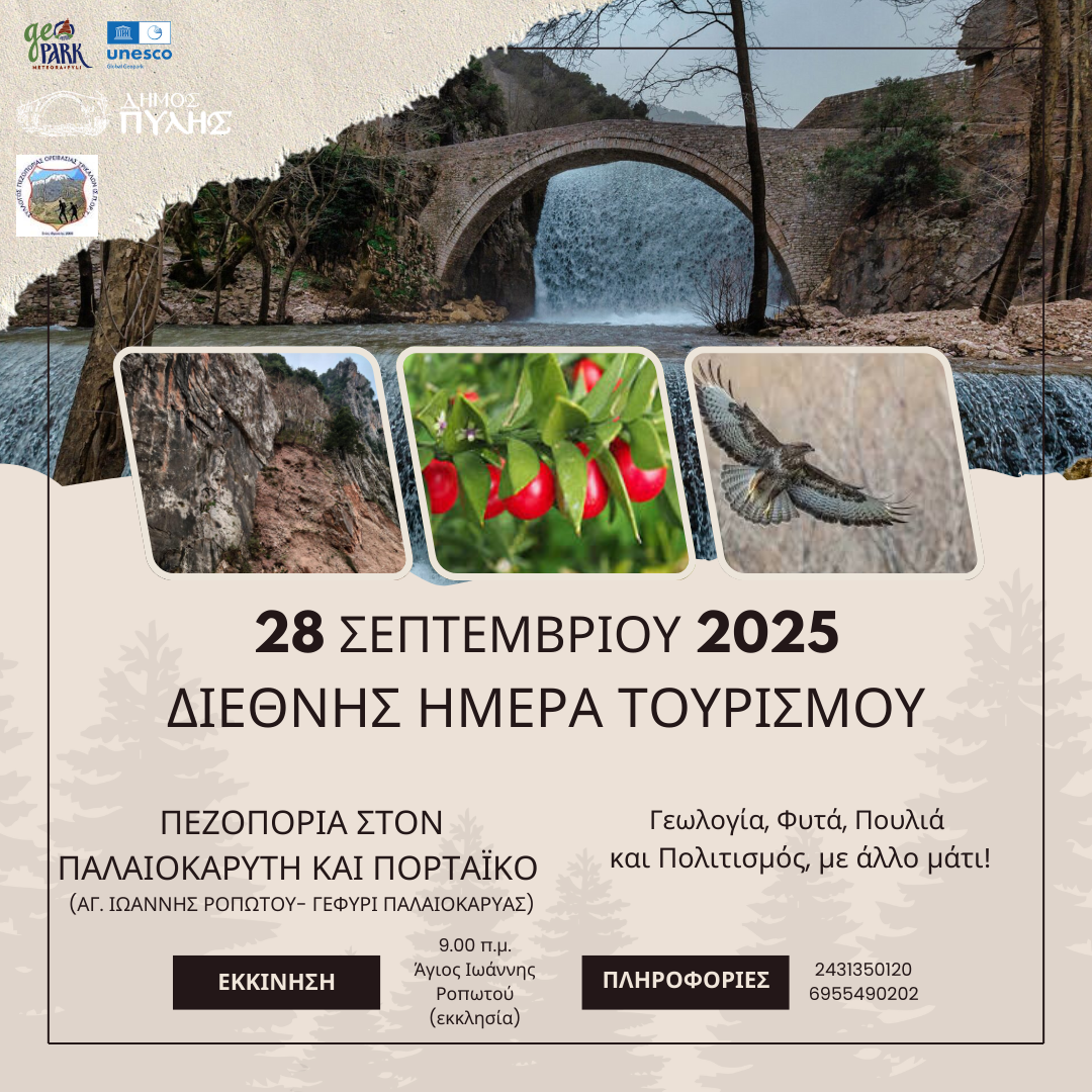 Εικόνα άρθρου