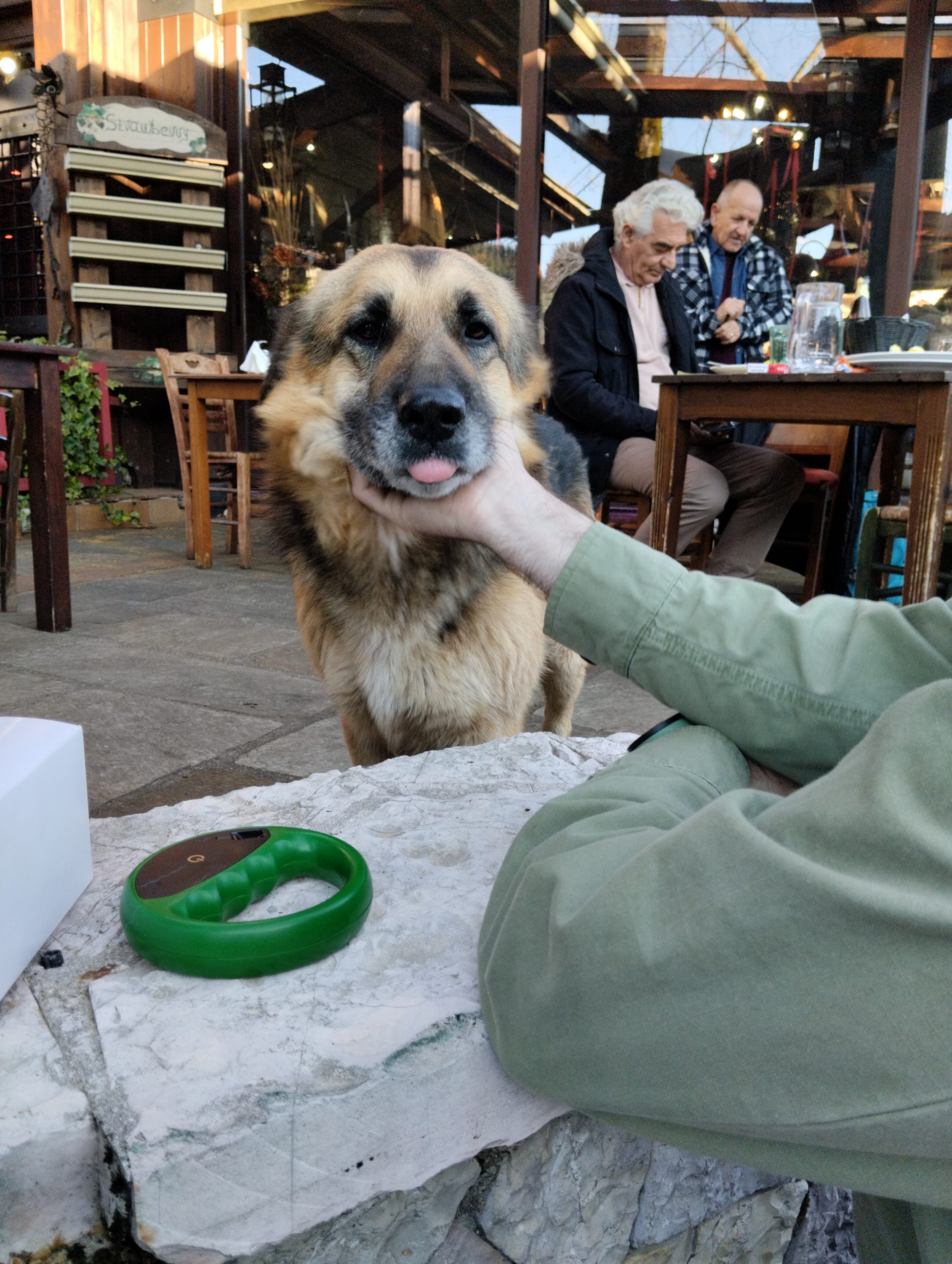 Εικόνα άρθρου