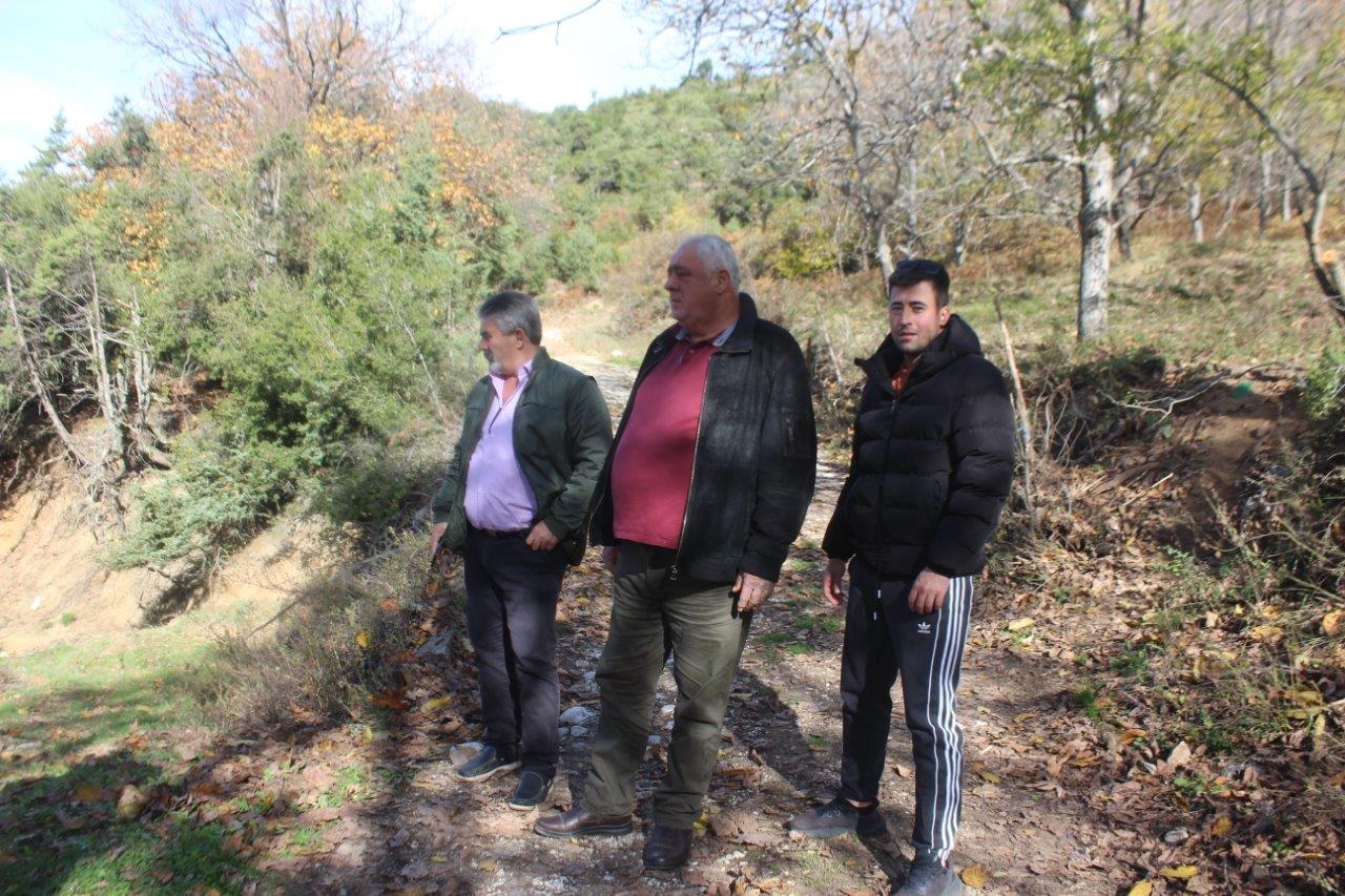 Εικόνα άρθρου