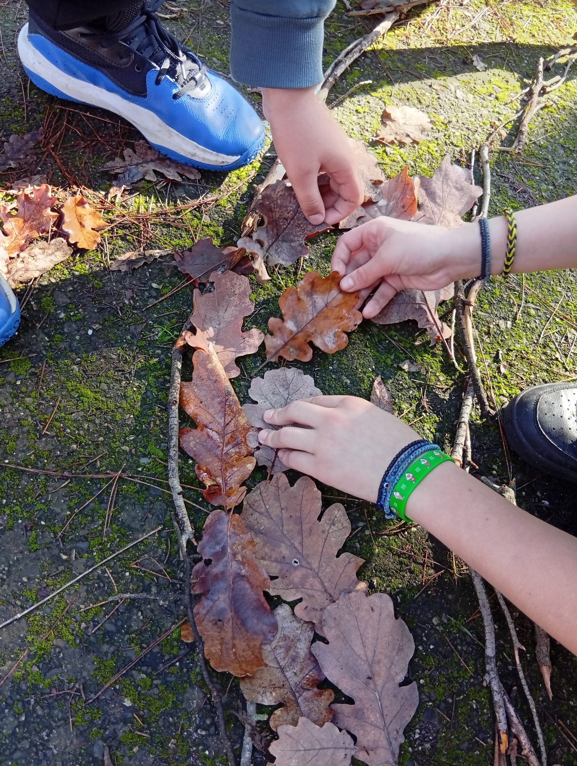 Εικόνα άρθρου