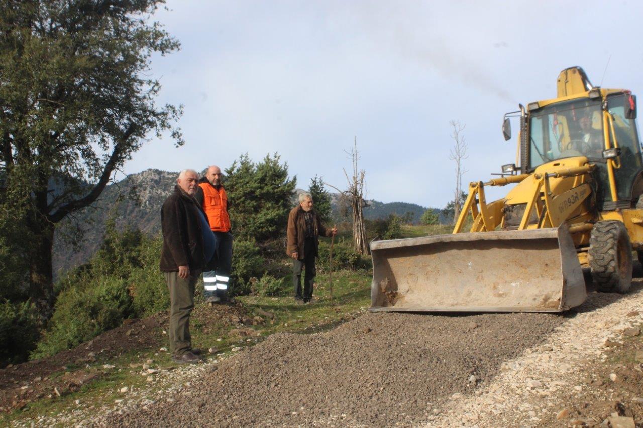 Εικόνα άρθρου
