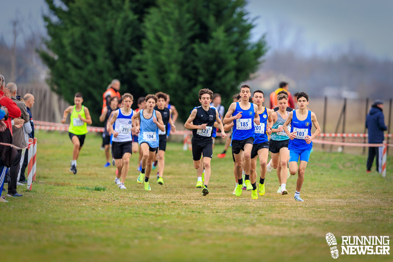 Εικόνα άρθρου