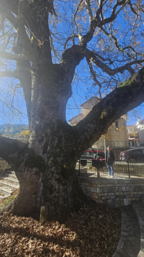 Εικόνα άρθρου