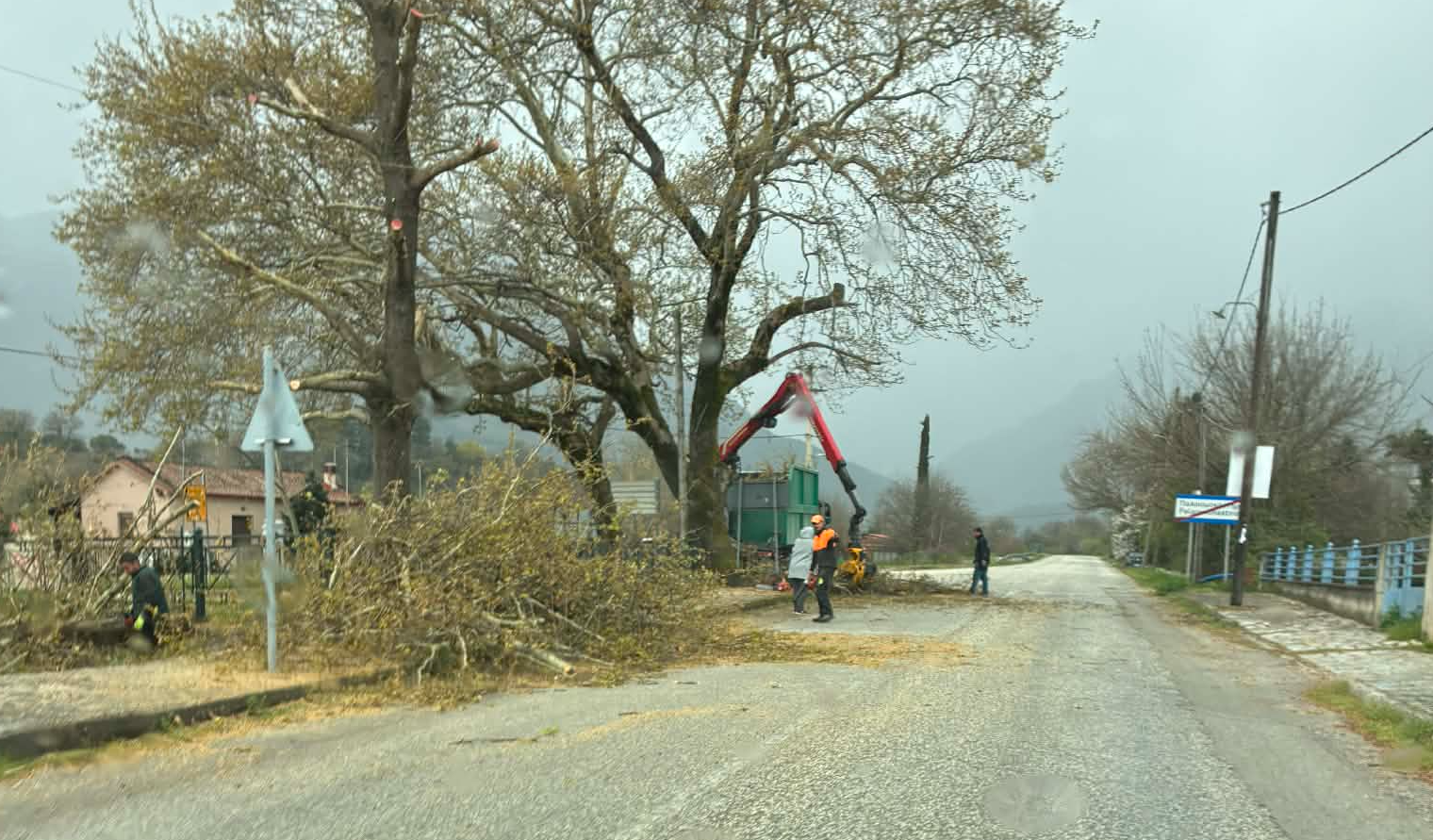 Εικόνα άρθρου