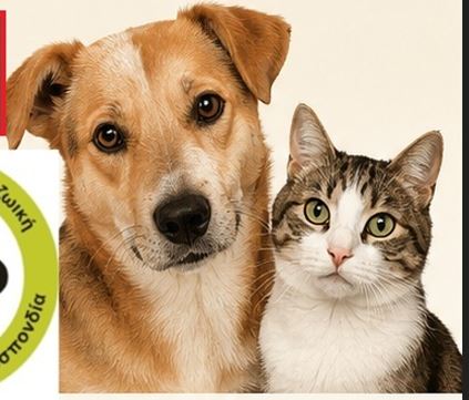 Pets